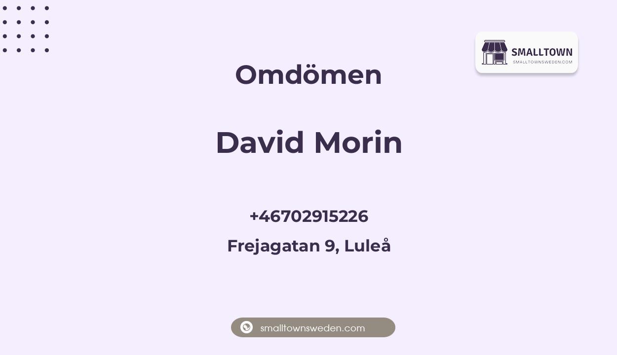 Omdömen om David Morin, Frejagatan 9, Luleå