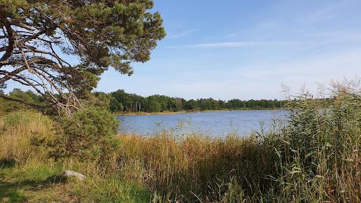Omdömen om Horsö - Värsnäs Naturreservat Söder, 395 90 Kalmar, Kalmar